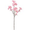 FM007282 早春山桜 小 MAGIQ(東京堂) 72892831