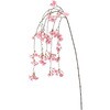 FM007284 早春しだれ桜 MAGIQ(東京堂) 72892849