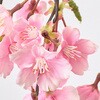 FM007284 早春しだれ桜 MAGIQ(東京堂) 72892849