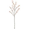 FM008075 淡雪の桜 満開大 MAGIQ(東京堂) 72892989