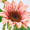 FM008217-006 インプレスサンフラワー MAGIQ(東京堂) 72893007