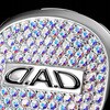 SB232-01-02 D.A.D ラグジュアリー ステアリング ブローチ D.A.D(GARSON) 72899027