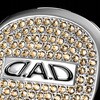 SB232-01-10 D.A.D ラグジュアリー ステアリング ブローチ D.A.D(GARSON) 72899106