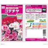 ゴデチヤ ジューン ミックス サカタのタネ