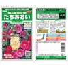 たちあおい サマーカーニバル サカタのタネ