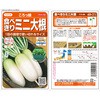 ミニ大根 種
