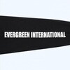 S �I���C�I�� �h���C�����OT�V���c �^�C�v2 EverGreen INTERNATIONAL 72933126