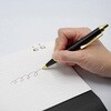 PNC-BO-PT388G-P 【名入れ】レガリア ボールペン(化粧箱つき)1本 記念品用 ジャストコーポレーション 72994638