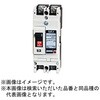 B62FH20S Fシリーズ 高遮断容量 配線用遮断器 【受注生産品】 テンパール工業 72996440