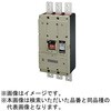 B1003WDS Wシリーズ 定格電流可調整 配線用遮断器 【受注生産品】 テンパール工業 72999021