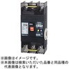 U12301EC10W2VA 単3中性線欠相保護付漏電遮断器 OC付 テンパール工業 73001008