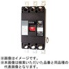 U40301EA30W2LV 単3中性線欠相保護付漏電遮断器 OC付 【受注生産品】 テンパール工業 73001559