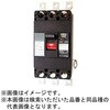 U40301EA30W2LSV 単3中性線欠相保護付漏電遮断器 OC付 【受注生産品】 テンパール工業 73001595