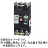 BU12301EC120VP 単3中性線欠相保護付配線用遮断器 リード線付 テンパール工業 73001717