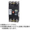BU15301EC15VPTB 単3中性線欠相保護付配線用遮断器 リード線付 テンパール工業 73001875