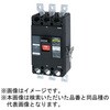 BU40301EA30VP 単3中性線欠相保護付配線用遮断器 リード線付 テンパール工業 73001936