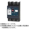 B33EC20PTB 安全ブレーカEシリーズ 経済タイプ 配線用遮断器 テンパール工業 73002031