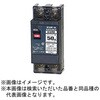 B52EC15PTB 安全ブレーカEシリーズ 経済タイプ 配線用遮断器 テンパール工業 73002049