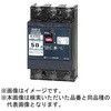 B53EC50PTB 安全ブレーカEシリーズ 経済タイプ 配線用遮断器 テンパール工業 73002137
