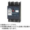B63EC60PTB 安全ブレーカEシリーズ 経済タイプ 配線用遮断器 テンパール工業 73002146