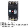 B103EC10ATB 安全ブレーカEシリーズ 経済タイプ 配線用遮断器 テンパール工業 73002216