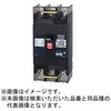 B123EC12ATB 安全ブレーカEシリーズ 経済タイプ 配線用遮断器 テンパール工業 73002320