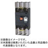 B223EA17PTB 安全ブレーカEシリーズ 経済タイプ 配線用遮断器 テンパール工業 73002365
