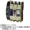 B123GC05W2L3 漏電警報付配線用遮断器 無負荷時遮断機能付 【受注生産品】 テンパール工業 73002670