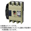 B223GC17W2L3 漏電警報付配線用遮断器 無負荷時遮断機能付 【受注生産品】 テンパール工業 73002819