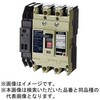 B123GC01W2L3F 漏電警報付配線用遮断器 無負荷時遮断機能付 【受注生産品】 テンパール工業 73002855