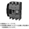 B253GHC17W2L3 漏電警報付配線用遮断器 無負荷時遮断機能付 【受注生産品】 テンパール工業 73003065
