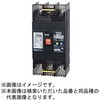 123EC06W2L4A Eシリーズ 経済タイプ 漏電遮断器 OC付 【受注生産品】 テンパール工業 73005829