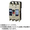 63FH20W2 Fシリーズ 高遮断容量 漏電遮断器 OC付 【受注生産品】 テンパール工業 73006739