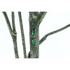 28055 フェイクグリーン パキラ 150cm ジョイント 不二貿易 73025700
