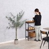 28057 フェイクグリーン オリーブ 150cm ジョイント 不二貿易 73025727