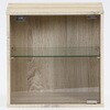 54908 コレクションボックス(前板ガラス) オーク 不二貿易 73026260