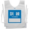 ĝă[bPxXg yP(TRAINING)z
