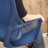51133 シンプルデザインチェア パレット BL 不二貿易 73225857