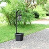38438 LEDソーラーライト H95cm プランター付 不二貿易 73225936