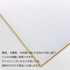 AO-25S-G 色紙 画仙 あかしや 73243251