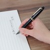 110825120 プロフィットカジュアルL ステイブル 金 万年筆 クリアブラック セーラー万年筆 73272179