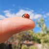 CINSCBEM GO Ultra マイクロレンズ insta360 73435629