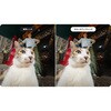 CINSCBGF Ace Pro 2 クローズアップレンズ insta360 73436286