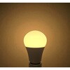 LDA10LG100WT3 一般電球形LEDランプ 東京メタル 73474305