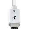 TBLT5MM50CM240WWH Thunderbolt 5ケーブル/8K60Hz/80Gbps 最大120Gbps/240W PD StarTech.com 73477245