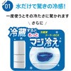 DNIMC3X-FG ネッククーラー 冷感持続20時間 マジクール 大きめサイズ MAGICOOL 73494849