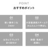SA-4098W はさめる衣類スチーマー ハンディアイロン ツインバード 73495007