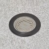 GA-PB129 これエエやん ゴミキャッチ (排水口 金網 置くだけ 簡単 交換) GAONA(ガオナ) 73500878