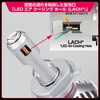 141HLB3 LEDヘッドランプバルブ X3・H4 コンパクトモデル IPF 73504150