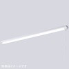 LEDioc LEDベースライト (LEDユニット一体形) 40W形 トラフ形 FLR40形相当 2000Lmタイプ 1灯用相当 (プルスイッチ付) 岩崎電気